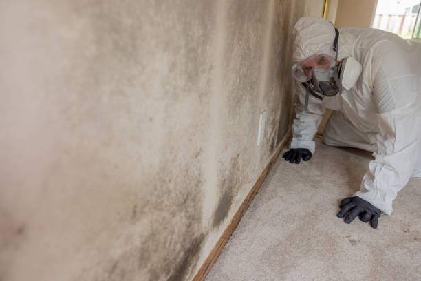 Best Water Damage & Mold Remediation  in Crandall, TX